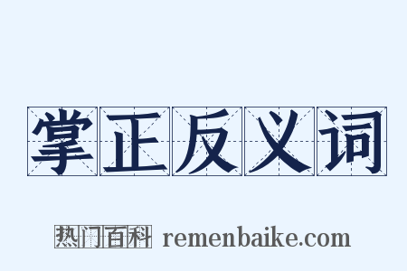 掌正反义词是什么意思的图片